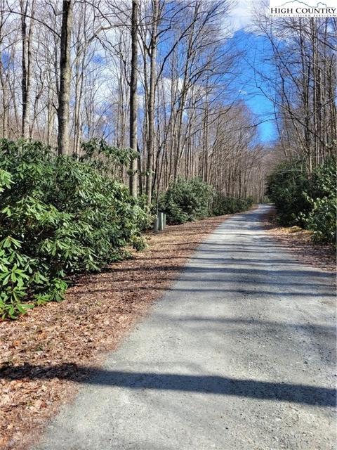 tbd Pinnacle Ridge And Buckeye Ridge Rds, Beech Mountain, NC 28604 photo 6