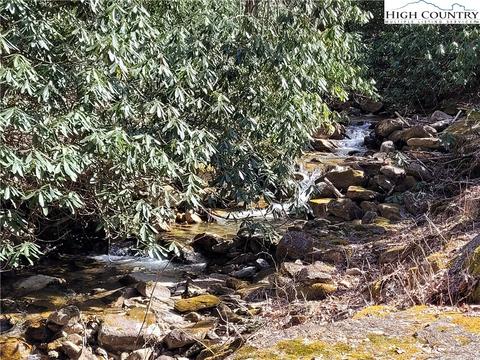tbd Pinnacle Ridge And Buckeye Ridge Rds, Beech Mountain, NC 28604 photo 14