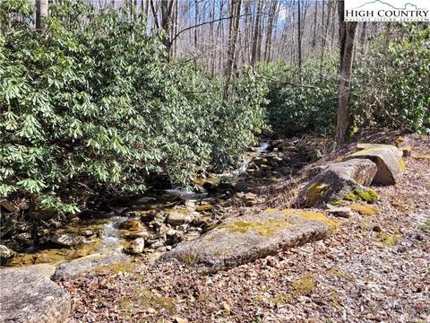 tbd Pinnacle Ridge And Buckeye Ridge Rds, Beech Mountain, NC 28604 photo 13