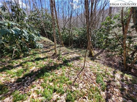 tbd Pinnacle Ridge And Buckeye Ridge Rds, Beech Mountain, NC 28604 photo 16