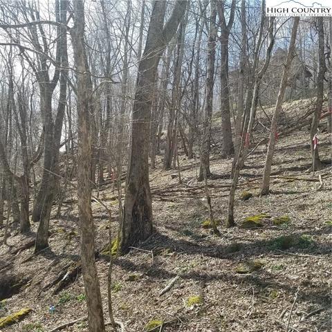 TBD Alpine Drive, Seven Devils, NC 28604 photo 6