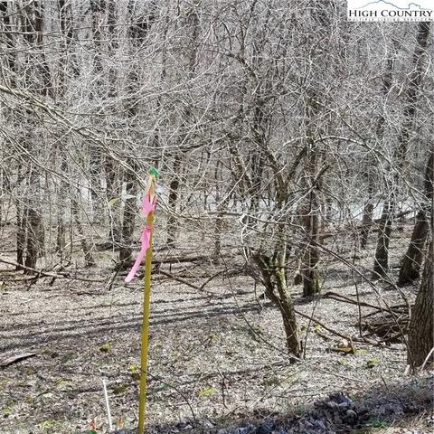 TBD Alpine Drive, Seven Devils, NC 28604 photo 3