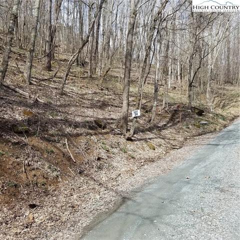 TBD Alpine Drive, Seven Devils, NC 28604 photo 10