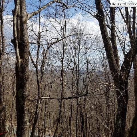 TBD Alpine Drive, Seven Devils, NC 28604 photo 12