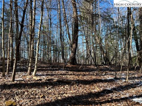 TBD Flat Rock Road, Crumpler, NC 28640