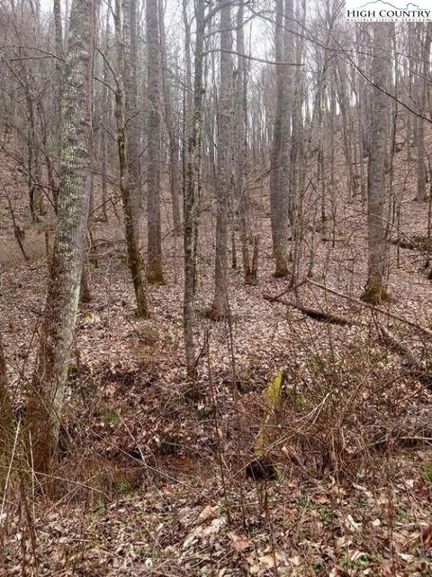 tbd Chestnut Hill Rd, Crumpler, NC 28617 photo 2