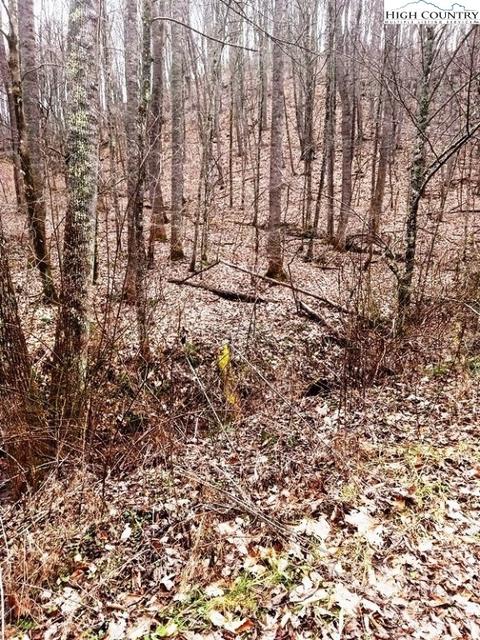 tbd Chestnut Hill Rd, Crumpler, NC 28617
