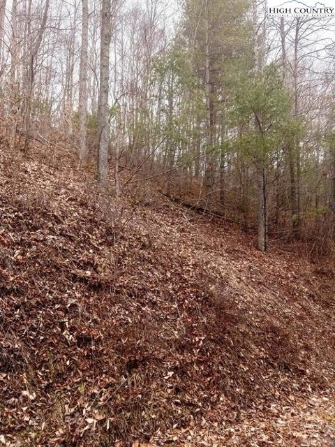 tbd Chestnut Hill Rd, Crumpler, NC 28617 photo 4
