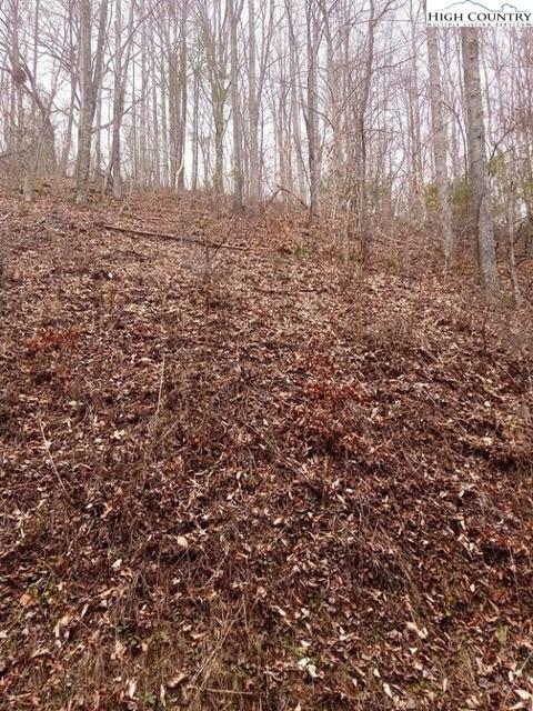 tbd Chestnut Hill Rd, Crumpler, NC 28617 photo 3