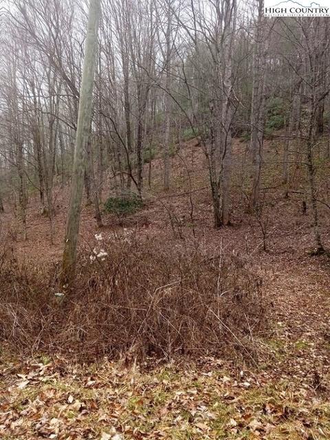 tbd Chestnut Hill Rd, Crumpler, NC 28617 photo 7
