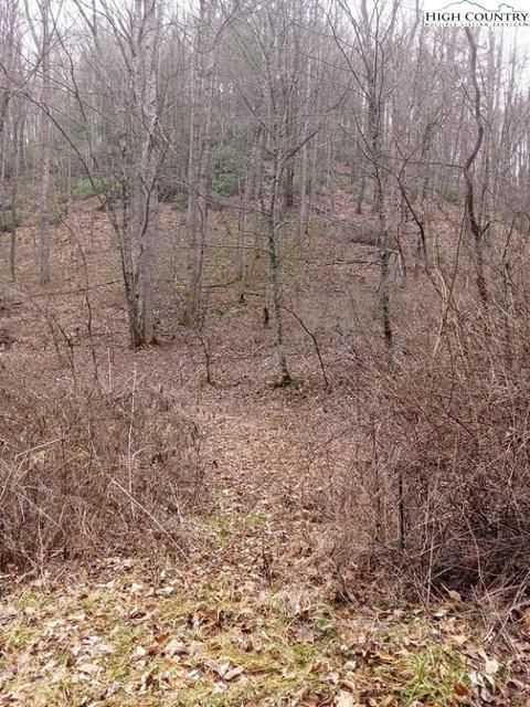 tbd Chestnut Hill Rd, Crumpler, NC 28617 photo 6