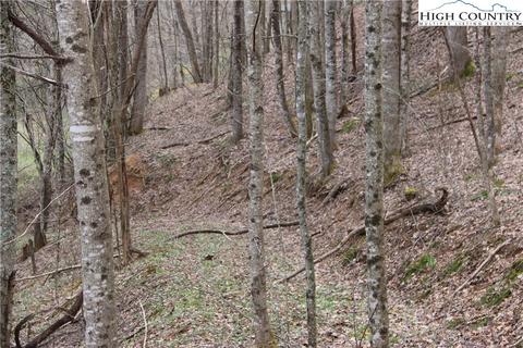 561 Tucker Rd, Lansing, NC 28643 photo 47