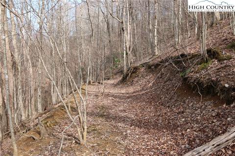 561 Tucker Rd, Lansing, NC 28643 photo 48