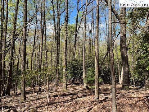 tbd Lyons Road, Roaring Gap, NC 28668 photo 13