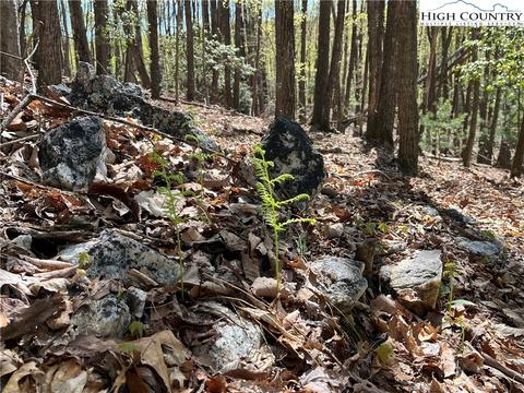 tbd Lyons Road, Roaring Gap, NC 28668 photo 17