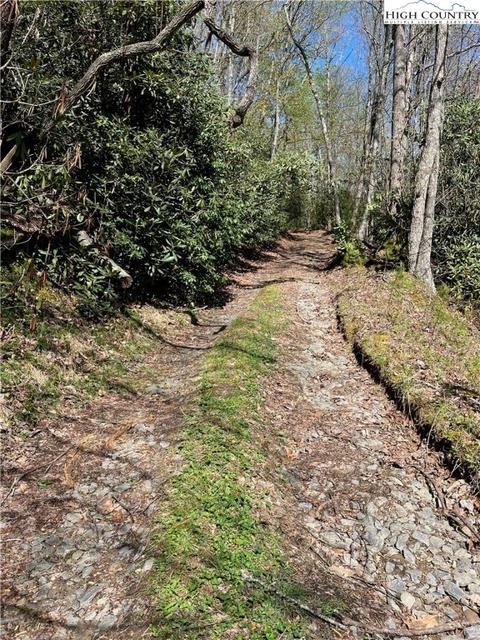 tbd Lyons Road, Roaring Gap, NC 28668 photo 2