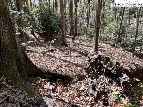 tbd Lyons Road, Roaring Gap, NC 28668 photo 24