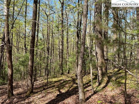 tbd Lyons Road, Roaring Gap, NC 28668 photo 11
