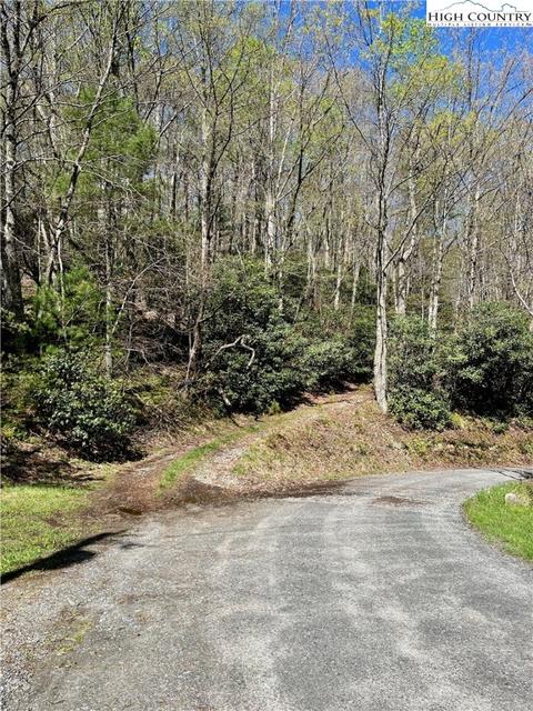 tbd Lyons Road, Roaring Gap, NC 28668
