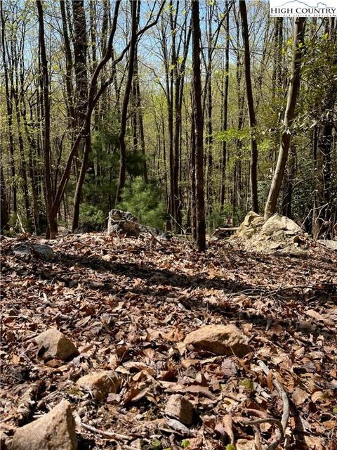 tbd Lyons Road, Roaring Gap, NC 28668 photo 16