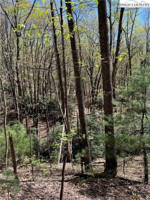 tbd Lyons Road, Roaring Gap, NC 28668 photo 34