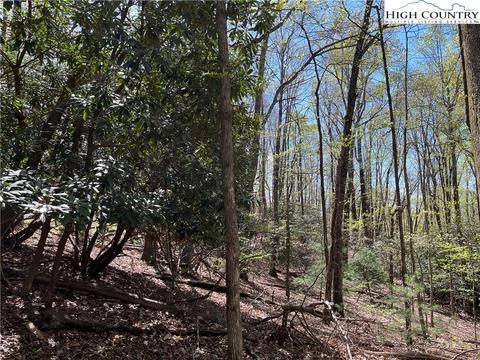 tbd Lyons Road, Roaring Gap, NC 28668 photo 9