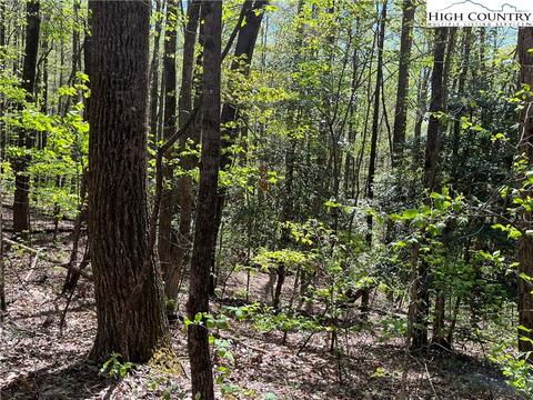 tbd Lyons Road, Roaring Gap, NC 28668 photo 45