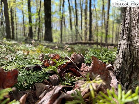 tbd Lyons Road, Roaring Gap, NC 28668 photo 49