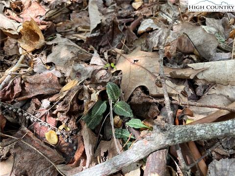 tbd Lyons Road, Roaring Gap, NC 28668 photo 36