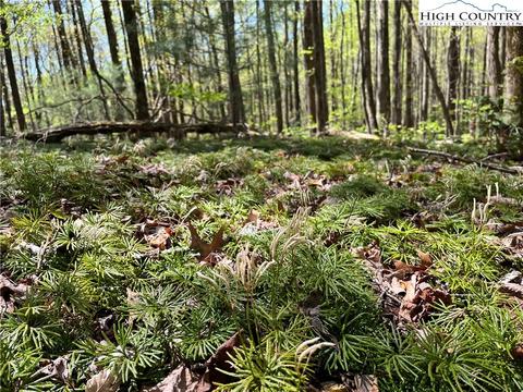 tbd Lyons Road, Roaring Gap, NC 28668 photo 47