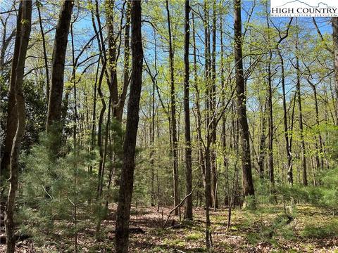 tbd Lyons Road, Roaring Gap, NC 28668 photo 8
