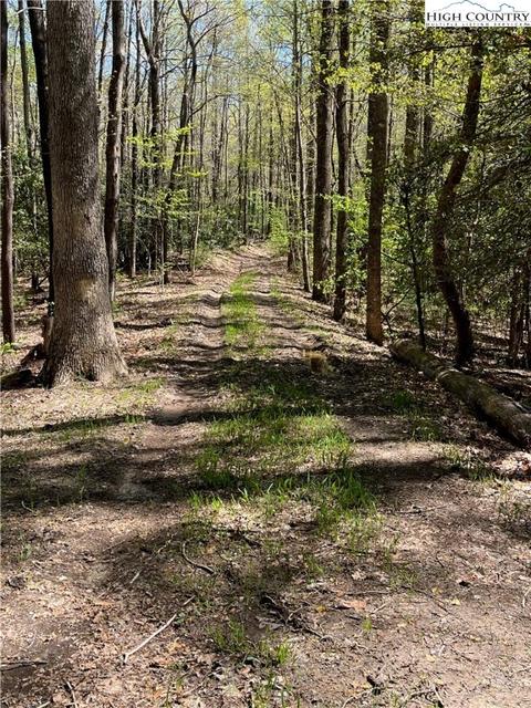 tbd Lyons Road, Roaring Gap, NC 28668 photo 42