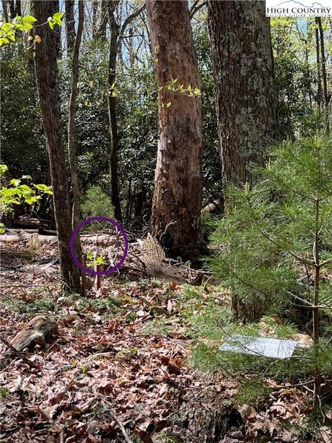 tbd Lyons Road, Roaring Gap, NC 28668 photo 5