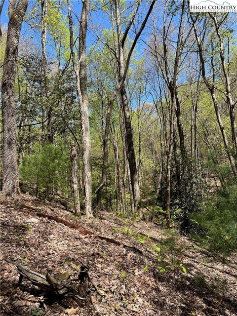 tbd Lyons Road, Roaring Gap, NC 28668 photo 33