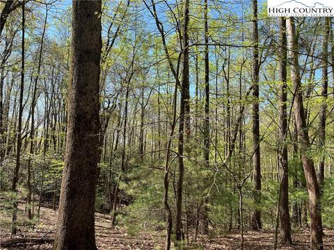 tbd Lyons Road, Roaring Gap, NC 28668 photo 10