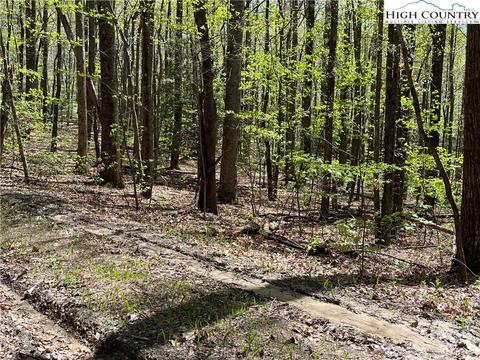 tbd Lyons Road, Roaring Gap, NC 28668 photo 46