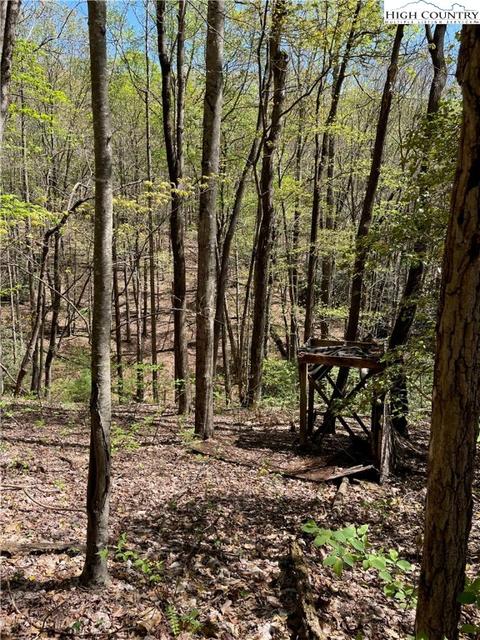 tbd Lyons Road, Roaring Gap, NC 28668 photo 38