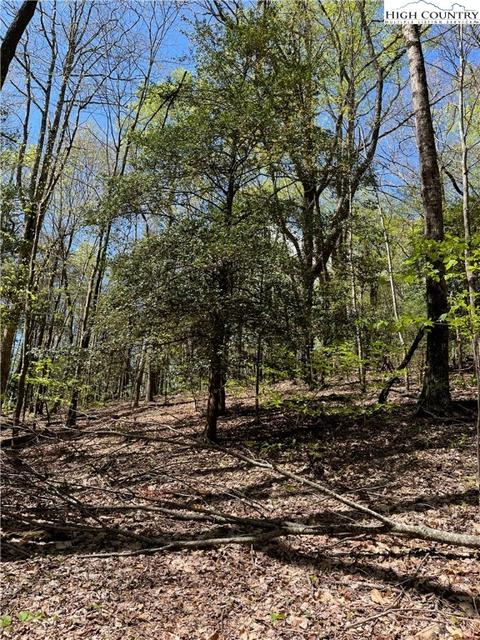 tbd Lyons Road, Roaring Gap, NC 28668 photo 37