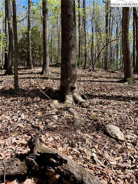 tbd Lyons Road, Roaring Gap, NC 28668 photo 19