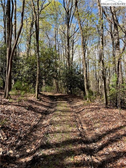 tbd Lyons Road, Roaring Gap, NC 28668 photo 4