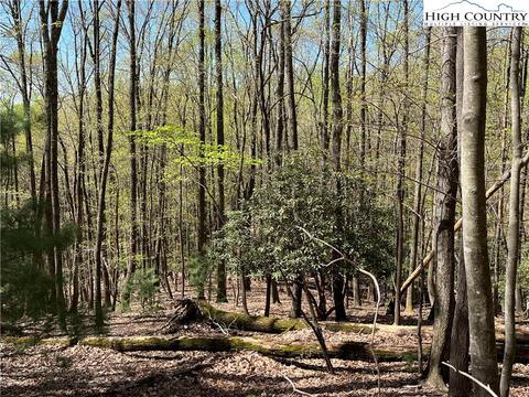tbd Lyons Road, Roaring Gap, NC 28668 photo 18