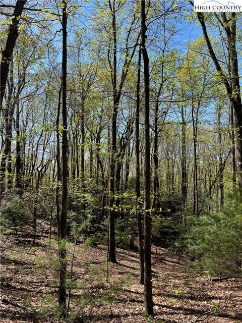 tbd Lyons Road, Roaring Gap, NC 28668 photo 12