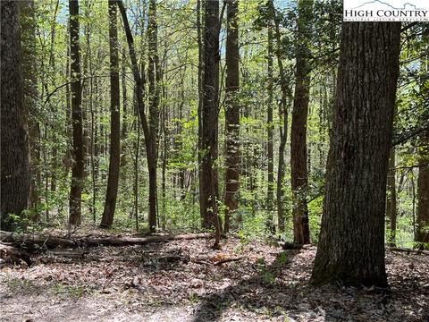 tbd Lyons Road, Roaring Gap, NC 28668 photo 41
