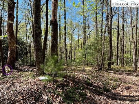 tbd Lyons Road, Roaring Gap, NC 28668 photo 6