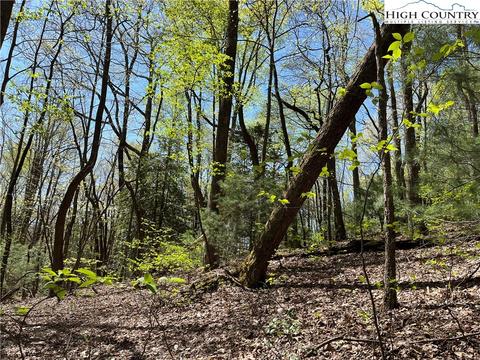 tbd Lyons Road, Roaring Gap, NC 28668 photo 40