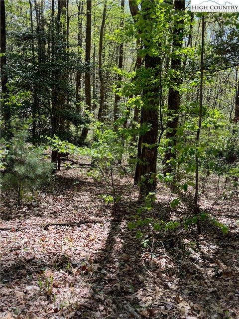 tbd Lyons Road, Roaring Gap, NC 28668 photo 44