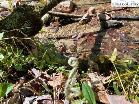 tbd Lyons Road, Roaring Gap, NC 28668 photo 28