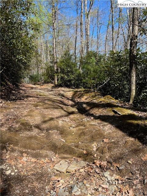 tbd Lyons Road, Roaring Gap, NC 28668 photo 3