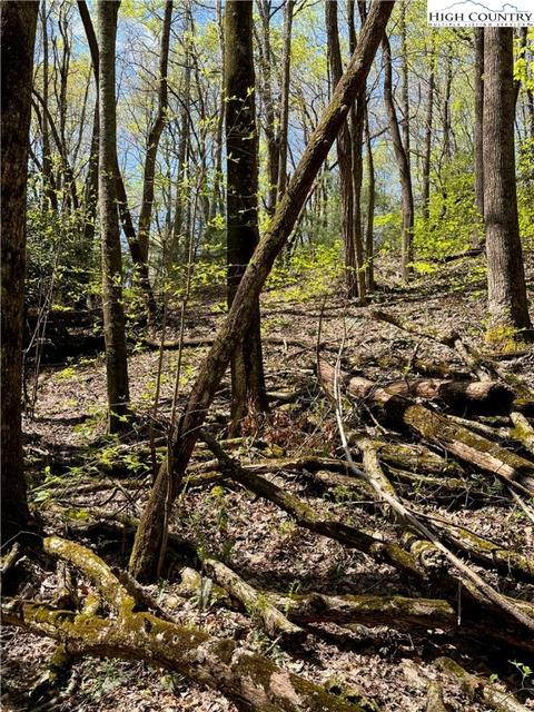 tbd Lyons Road, Roaring Gap, NC 28668 photo 31