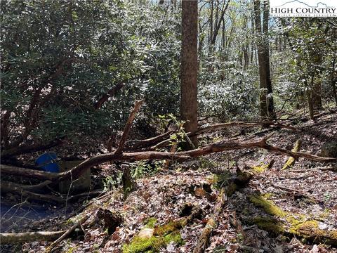 tbd Lyons Road, Roaring Gap, NC 28668 photo 30